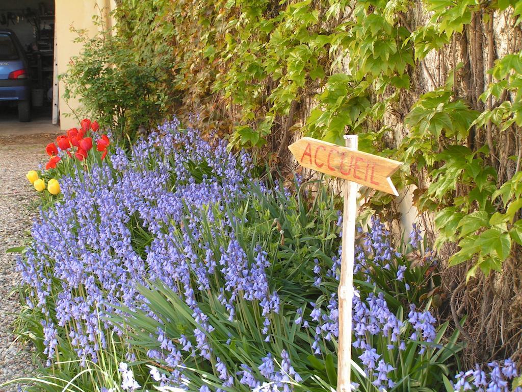 A L'Olivier Bed & Breakfast Montcaret Eksteriør bilde